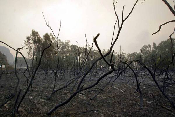 Νέα ρύθμιση για τα πυροδάνεια ζητούν Επιμελητήρια Πελοποννήσου και Εύβοιας