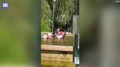 Ισπανία: Προσπάθησε να πνίξει τη σύντροφό του σε συντριβάνι