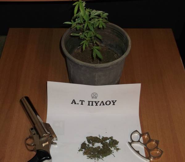 Δύο συλλήψεις για ναρκωτικά και κλοπές στον Ευαγγελισμό Μεσσηνίας