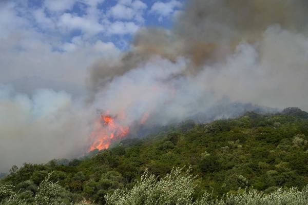 Δύσκολες ώρες με τις πυρκαγιές σε Μαγκλαβά και Μάνη (φωτογραφίες)