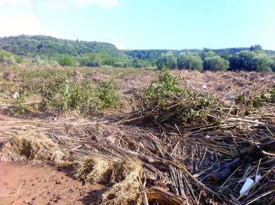 Ζημιές σε αμπέλια και σταφίδες
