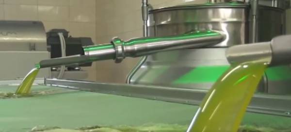 "Το ελαιόλαδο στο... μικροσκόπιο" στην "Εύφορη Γη" (βίντεο)