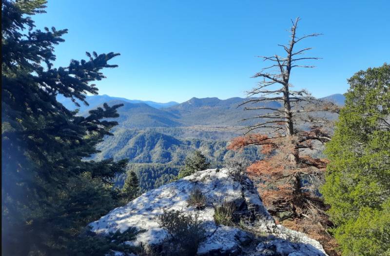 Ορειβατικός Σύλλογος Καλαμάτας: Εξόρμηση στη Φαλαισία