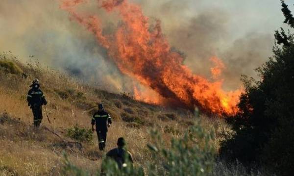 Πυρκαγιά σε Καλογερικό και Σάγκα Αρκαδίας