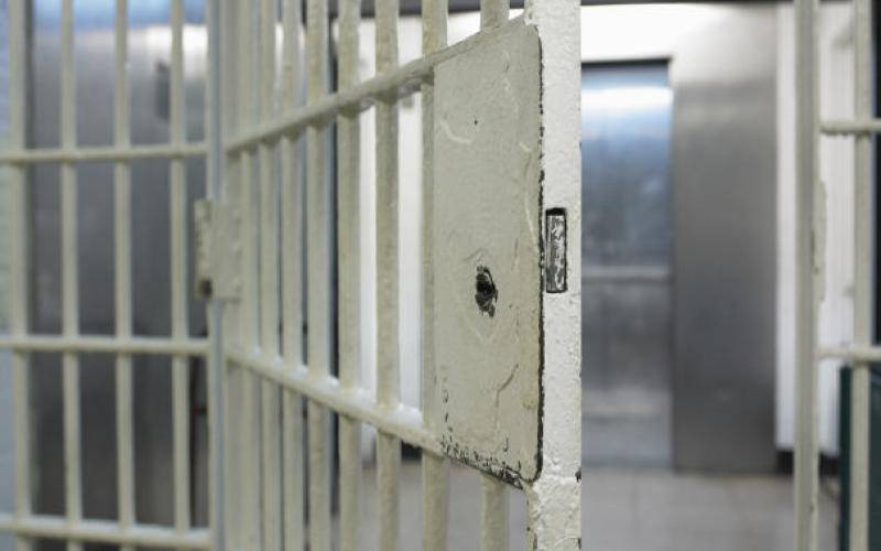 Μεσσηνία: Η μείωση της ποινής έφερε αποφυλάκιση για Βούλγαρο κλέφτη