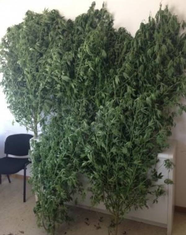 53 συλλήψεις σε επιχειρήσεις της Αστυνομίας στην Περιφέρεια Πελοποννήσου