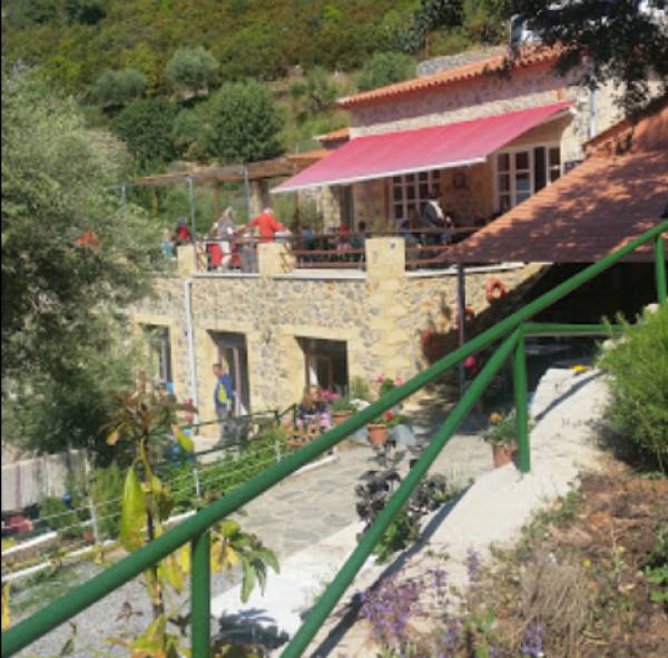 "Φεστιβάλ φιλίας" στο Αγρόκτημα Μαρίνη