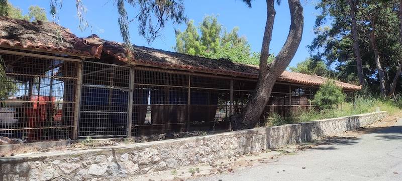 Σε καταφύγιο στο Δώριο αδέσποτα σκυλιά από λιμάνι Κυπαρισσίας