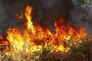Φωτιά στην περιοχή πάνω από το στρατόπεδο Καλαμάτας