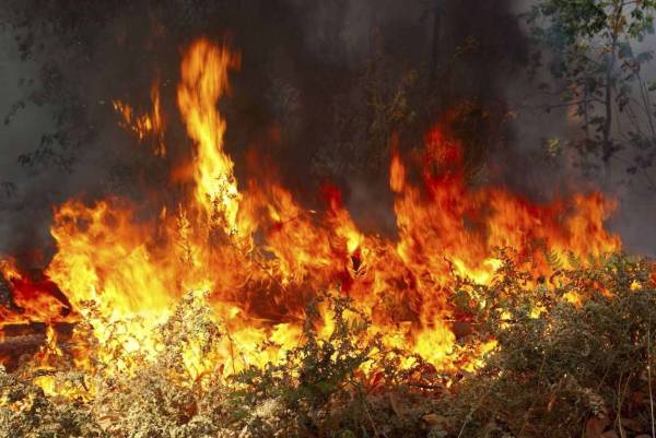 Φωτιά στην περιοχή πάνω από το στρατόπεδο Καλαμάτας