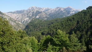 22χρονος Αλβανός νεκρός σε τροχαίο στον Ταΰγετο