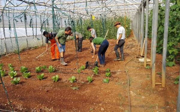 Στη λαϊκή της Καλαμάτας προϊόντα του «Κήπου της Λυσούς»