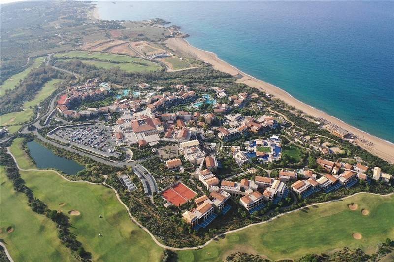 Αγορά ελαιώνων: Αποδίδει καρπούς το “Πανόραμα” από ΤΕΜΕΣ και Consillium