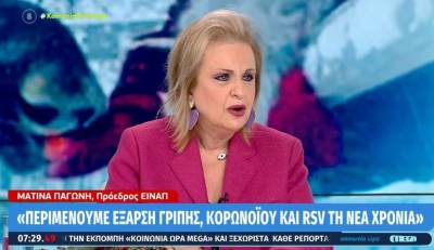 Παγώνη: Έρχεται έξαρση της γρίπης μετά τις γιορτές (Βίντεο)