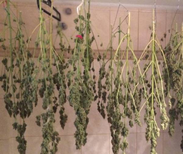 Αποξήρανση χασίς σε ντουλάπα στη Μεσσήνη