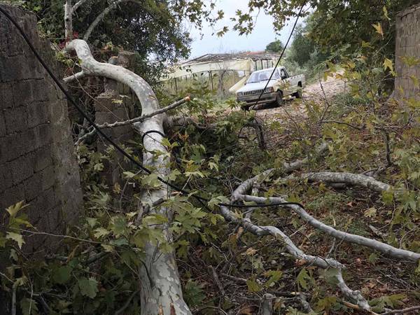 Καταγραφή ζημιών από ανεμοστρόβιλο στην Τριφυλία