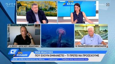 Μωβ μέδουσες - Τι να κάνουμε αν μας τσιμπήσει (βίντεο)