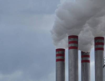 Τήρηση των νόμων για τα πυρηνελαιουργεία ζητά ο Νίκας