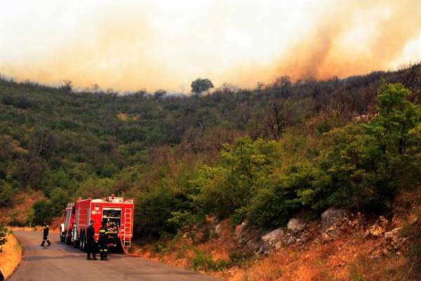 Ποιες είναι οι «μαύρες τρύπες» στην αντιπυρική προστασία της Μεσσηνίας
