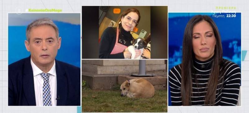 Πανεπιστήμιο Πατρών: Εισαγγελική παρέμβαση για τις επιθέσεις αδέσποτων σε φοιτητές (Βίντεο)