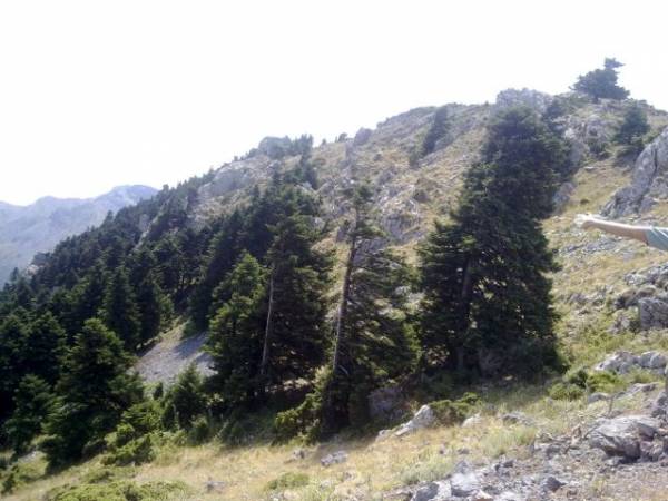 Εθελοντικός καθαρισμός από τους "Φίλους του Ταϋγέτου"