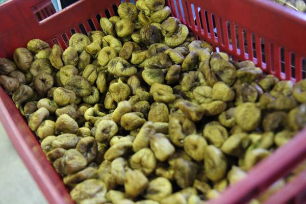 "Γιορτή Σύκου" στον Πολύλοφο