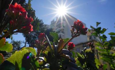 Καιρός: Νέα άνοδος της θερμοκρασίας σήμερα (Βίντεο)