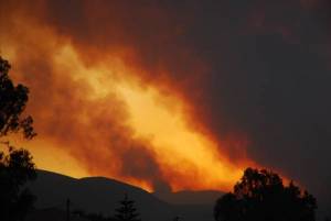 Συνελήφθη 68χρονος βοσκός για 85 πυρκαγιές στον Ταΰγετο