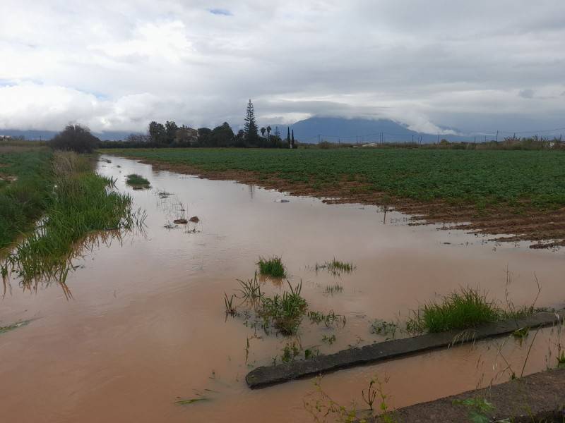 Μεγάλες καταστροφές σε πατατοχώραφα στη Μπούκα