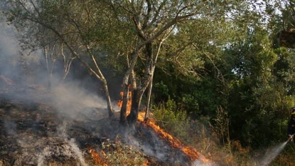 Οριοθετήθηκε η πυρκαγιά στους Αγ. Θεοδώρους κοντά στη Motor Oil