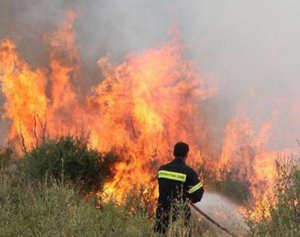 Μεσσηνία: Κάηκαν 7 στρέμματα μεταξύ Μίλα και Νεοχωρίου