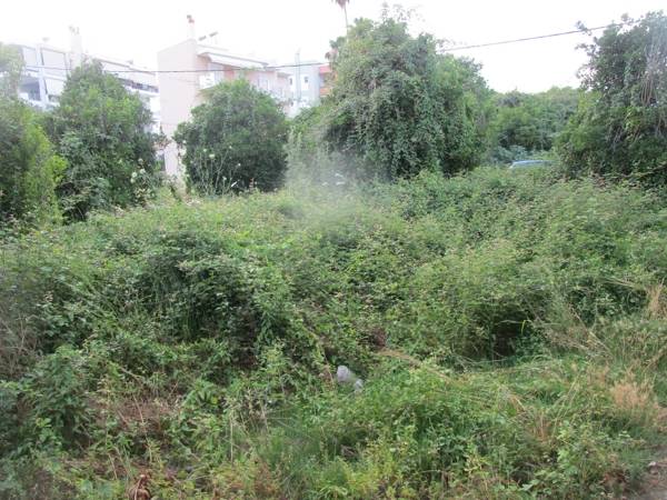 Ακαθάριστο οικόπεδο