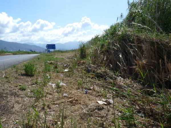 Τα καλάμια κρύβουν τα σκουπίδια