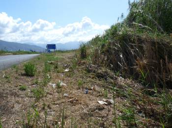 Τα καλάμια κρύβουν τα σκουπίδια