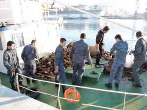 30 τόνοι άσφαιρα πυρομαχικά απομακρύνθηκαν από τη Σχίζα