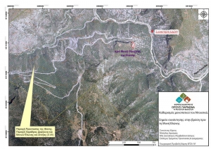 Καθαρισμός μονοπατιού στην περιοχή της Μονής Ελώνης