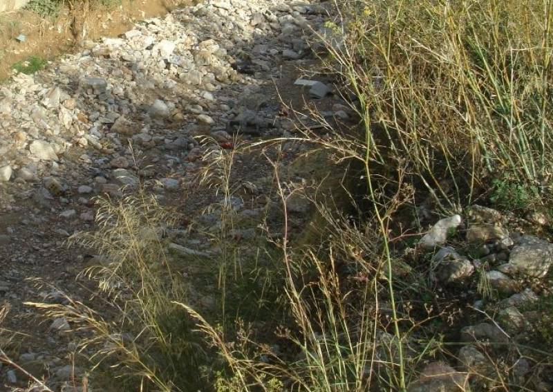 Ο πρόεδρος Άρης Σκλάβος ζητεί άμεσο καθαρισμό των ρεμάτων στην Ελαία