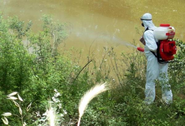 Ψεκασμοί για κουνούπια στη Γιάλοβα