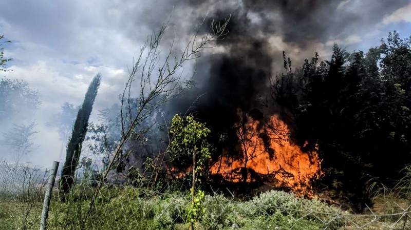 Φωτιά στην Εύβοια: Διπλό πύρινο μέτωπο στην Ιστιαία