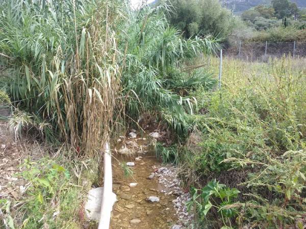 Ακαθάριστα ρέματα στην Κυπαρισσία