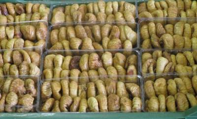 Καταστροφική χρονιά για τα σύκα