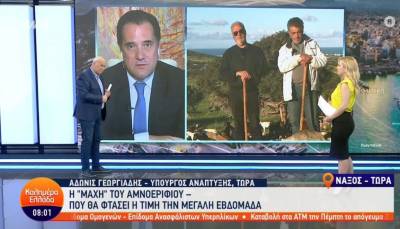 Γεωργιάδης: Δεν βάλαμε διατίμηση για να μπορεί ο κάθε παραγωγός να πουλάει με την τιμή που θεωρεί σύμφωνα με την ποιότητα του προϊόντος (Βίντεο)