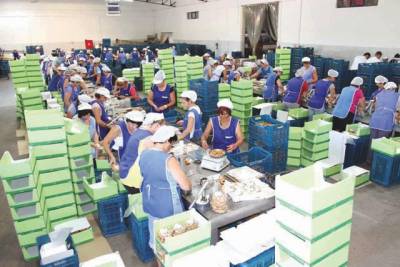 Εγκριση επέκτασης της &quot;Agrexpo SA&quot;