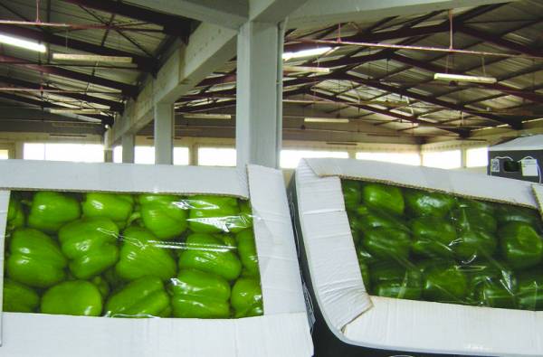 Σύσκεψη του ΣΥΡΙΖΑ στη Μεσσήνη για το συνεταιριστικό κίνημα