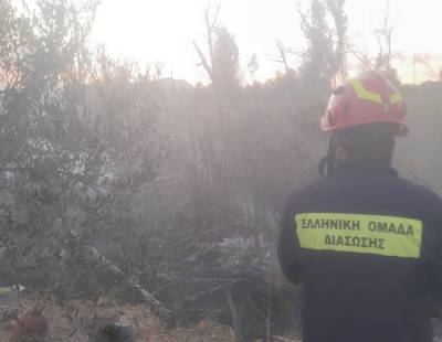 Πέντε φωτιές χθες σε περιοχές της Μεσσηνίας μέσα σε λίγες ώρες!