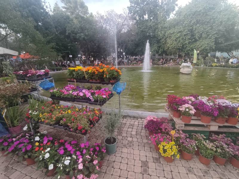 Καλαμάτα: Ξεκινά σήμερα η 13η Ανθοκομική - Στο Δημοτικό Πάρκο Σιδηροδρόμων