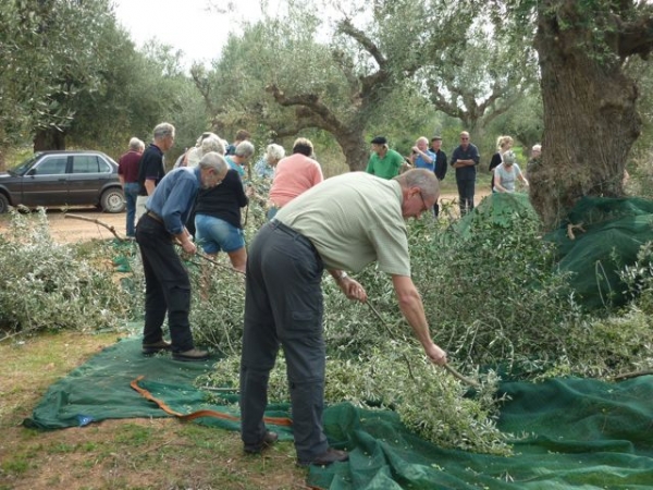 Οι καλοί Δανοί και οι κακοί Πακιστανοί