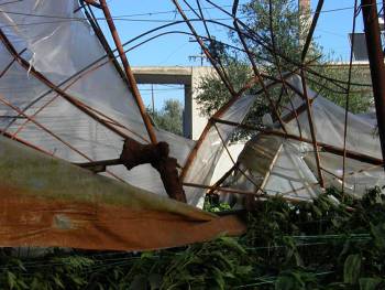 Τεράστιες καταστροφές σε θερμοκηπιακή μονάδα