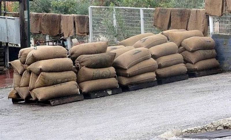 Μεσσηνία: Νεαρός εκλεψε 40 σακιά ελιές στο Χανδρινού