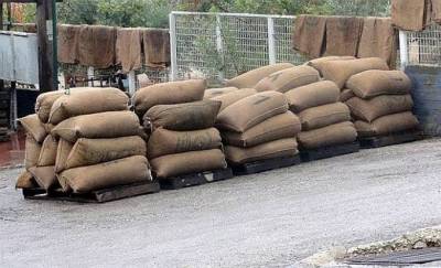 Μεσσηνία: Νεαρός εκλεψε 40 σακιά ελιές στο Χανδρινού